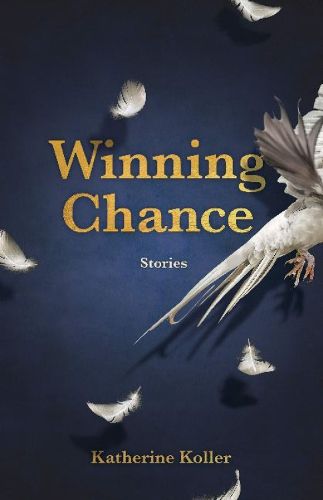 Cover image for Winning Chance: Stories