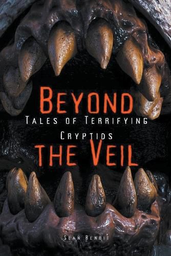 Cover image for Beyond the Veil