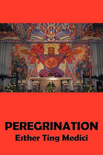 Cover image for Peregrination