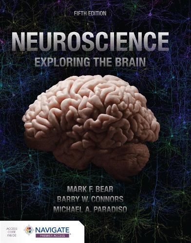 Cover image for Neuroscience: Exploring the Brain
