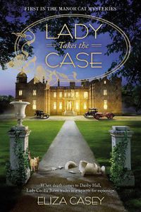 Cover image for Lady Takes The Case