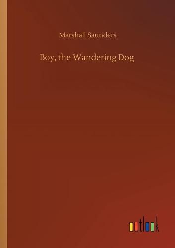 Cover image for Boy, the Wandering Dog