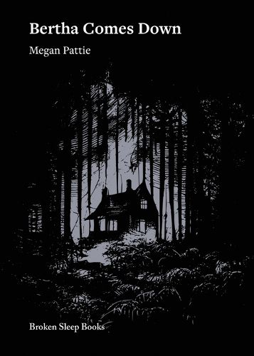 Cover image for Bertha Comes Down