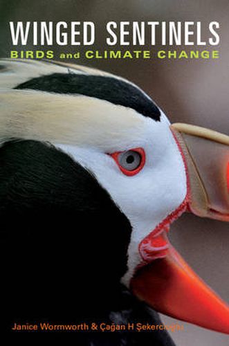 Cover image for Winged Sentinels: Birds and Climate Change