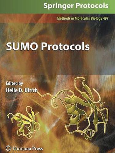 Cover image for SUMO Protocols