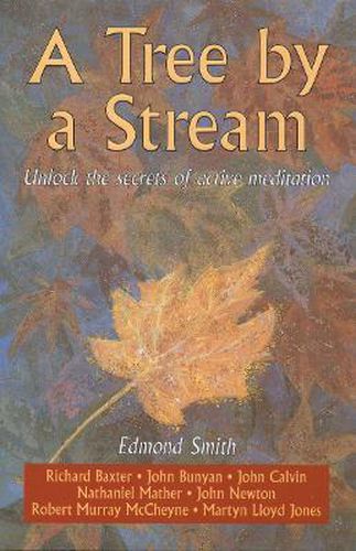 Cover image for A Tree By a Stream: Unlock the secrets of active meditation