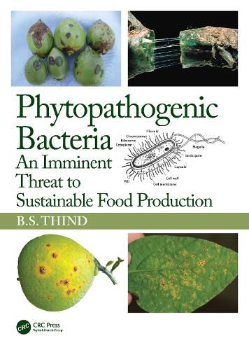 Cover image for Phytopathogenic Bacteria