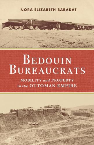 Cover image for Bedouin Bureaucrats