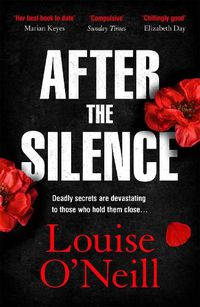 Cover image for After the Silence: The An Post Irish Crime Novel of the Year