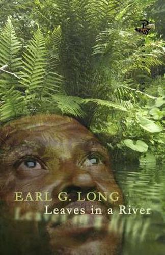 Cover image for Leaves in a River