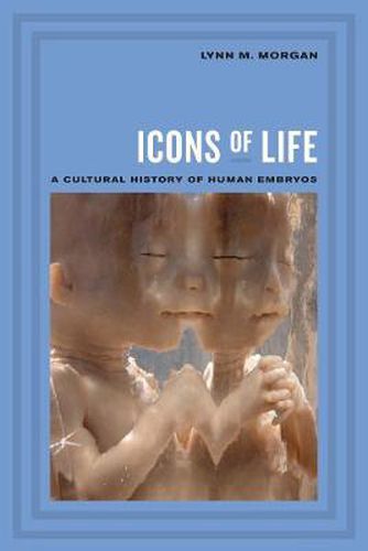 Cover image for Icons of Life: A Cultural History of Human Embryos