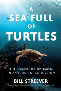 Cover image for A Sea Full of Turtles