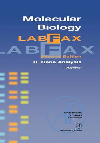 Cover image for Molecular Biology LabFax: Gene Analysis