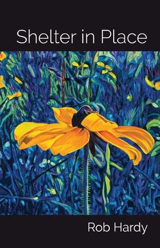 Cover image for Shelter in Place