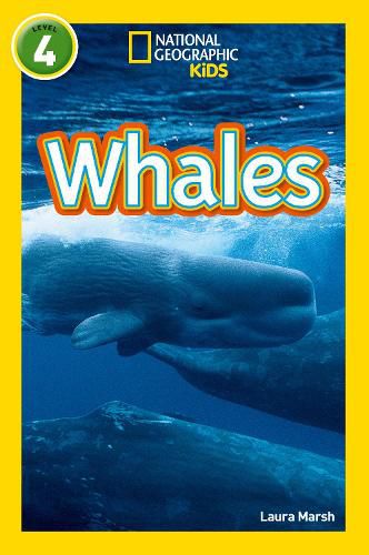 Cover image for Whales: Level 4