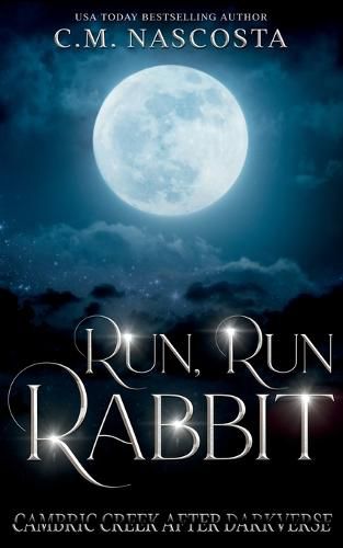 Cover image for Run, Run Rabbit