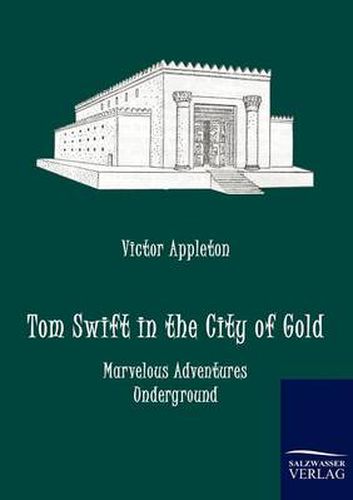 Cover image for Tom Swift in the City of Gold
