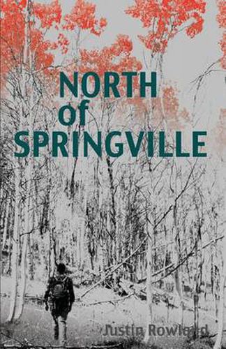 Cover image for North of Springville