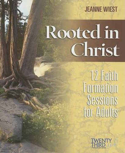 Cover image for Rooted in Christ: 12 Faith Formation Sessions for Adults