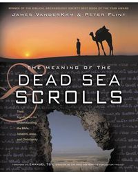 Cover image for The Meaning Of The Dead Sea Scrolls