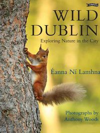 Cover image for Wild Dublin