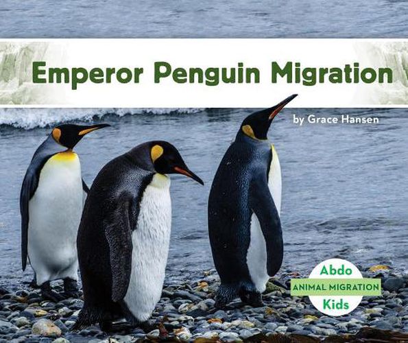 Cover image for Emperor Penguin Migration