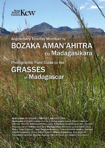 Cover image for Field Guide of Common Grasses of Madagascar
