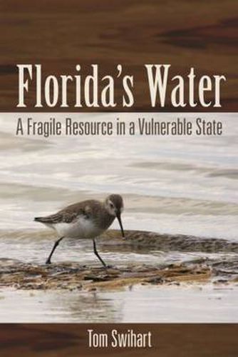 Cover image for Florida's Water: A Fragile Resource in a Vulnerable State