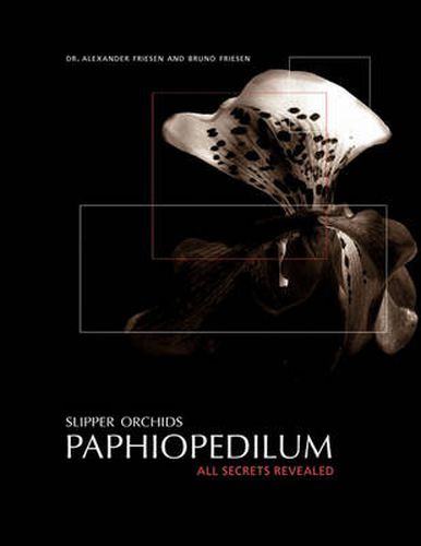 Cover image for Slipper Orchids, Paphiopedilum: All Secrets Revealed