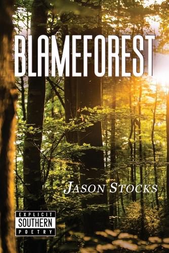 Cover image for Blameforest