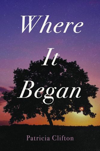 Cover image for Where It Began