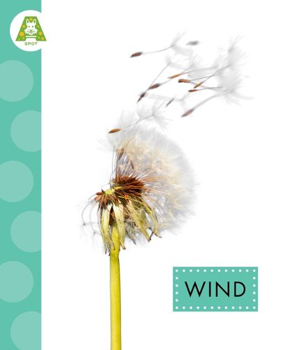 Cover image for Wind