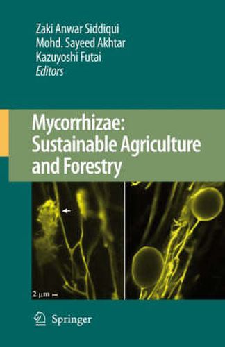 Cover image for Mycorrhizae: Sustainable Agriculture and Forestry