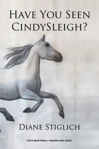 Cover image for Have You Seen CindySleigh?