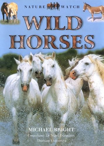 Wild Horses