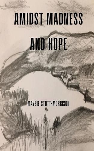 Cover image for Amidst Madness and Hope