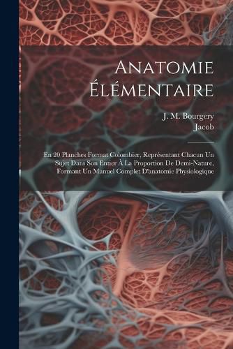 Cover image for Anatomie Elementaire