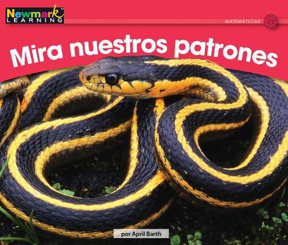 Cover image for Mira Nuestros Patrones Leveled Text