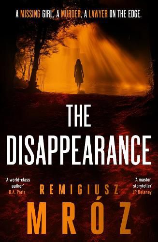 Cover image for The Disappearance