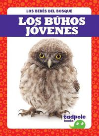 Cover image for Los Buhos Jovenes (Owlets)