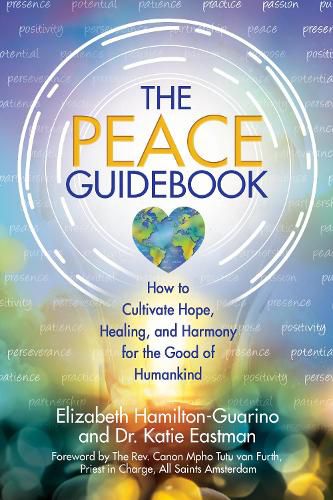 Cover image for The Peace Guidebook