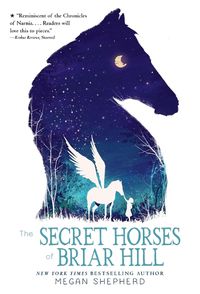 Cover image for The Secret Horses of Briar Hill