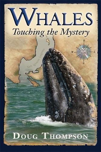 Cover image for Whales: Touching the Mystery