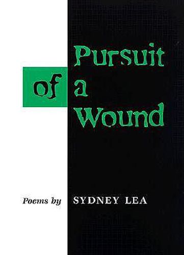 Cover image for Pursuit of a Wound