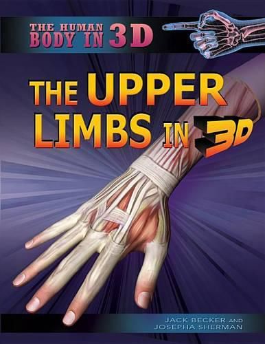 Cover image for The Upper Limbs in 3D