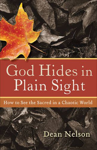 Cover image for God Hides In Plain Sight