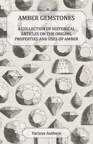 Cover image for Amber Gemstones - A Collection of Historical Articles on the Origins, Properties and Uses of Amber