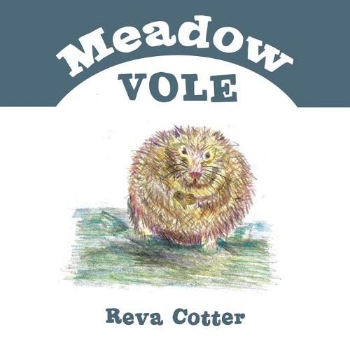 Cover image for Meadow Vole