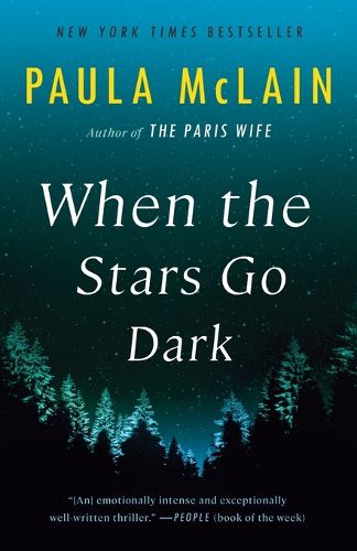 Cover image for When the Stars Go Dark: A Novel
