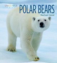 Cover image for Polar Bears